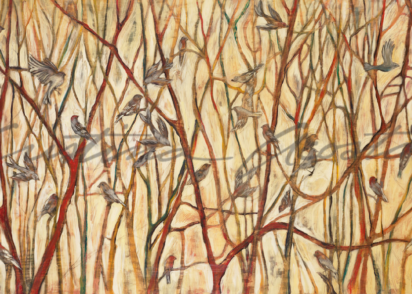 Winter Finches in Red and Yellow Willows by Cristina Acosta