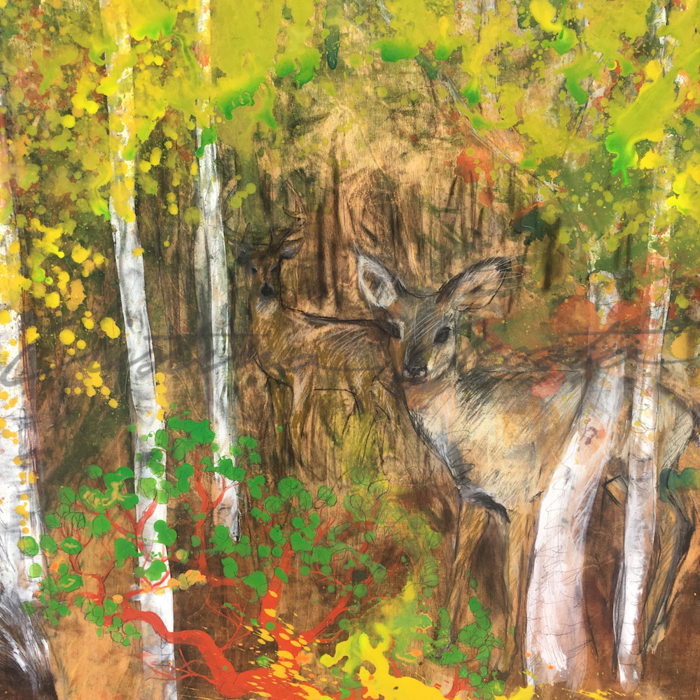 Deer in Forest with Manzanita