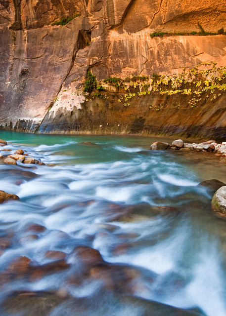 Emerald Narrows in Zion National Park