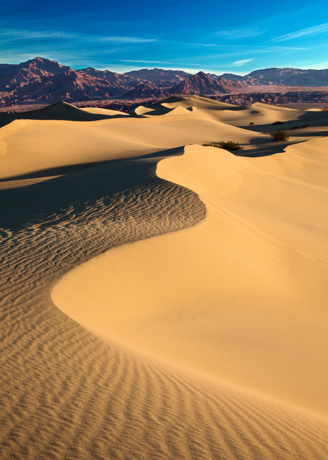 Mesquite Sand Dunes in Death Valley (Vertical)