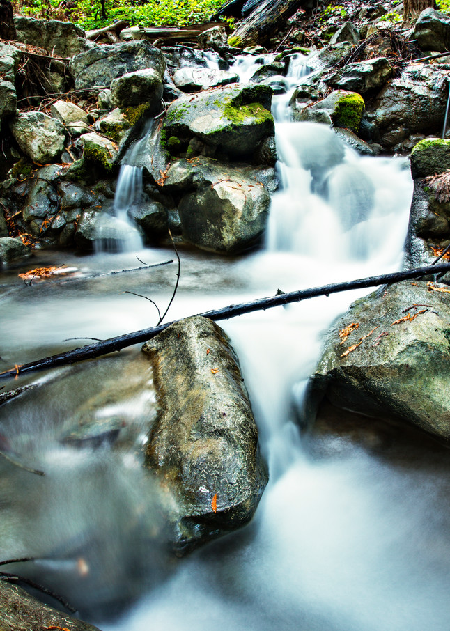 Rocky Hare Creek In Limekiln State Park Photograph for Sale as Fine Art