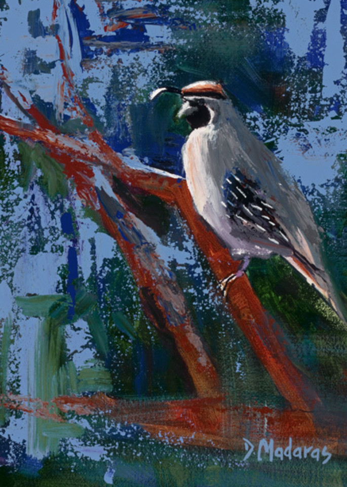 Quail In The Thicket Southwest Art Gallery Tucson Madaras
