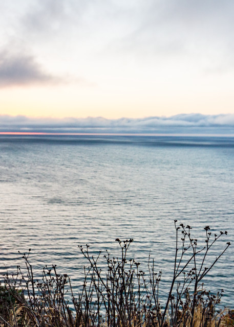 Mood Blue Sky On Santa Cruz Island photograph for Sale as Fine Art