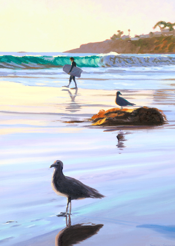 Boogie Boarder and Birds