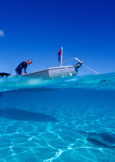 Moorea, French Polynesia; Eric Henningsen prepares for a dive at Sting Ray City, as a Tahitian Sting Ray swims under the boat
