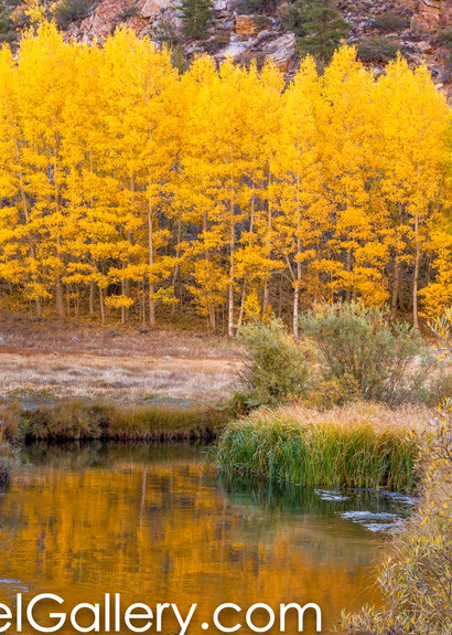 Autumn Reflections, Mono Lake