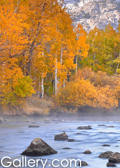Rush Creek in Autumn