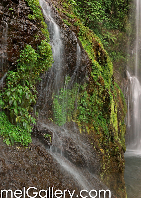 Costa Rican Cascade