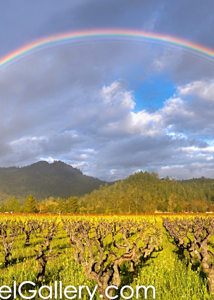 Napa Valley Rainbow