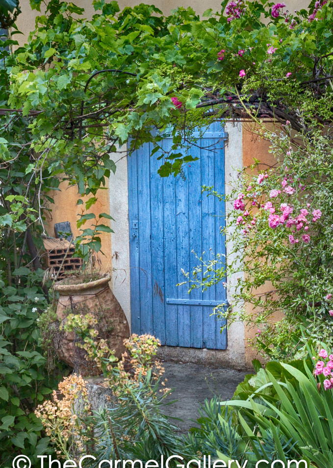 In the Garden, Provence