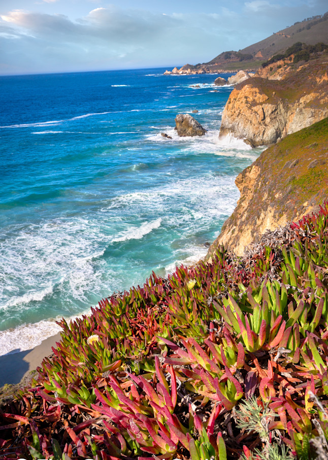 Coast Colors Big Sur