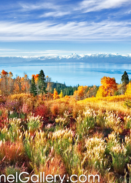 Autumn Morning Tahoe