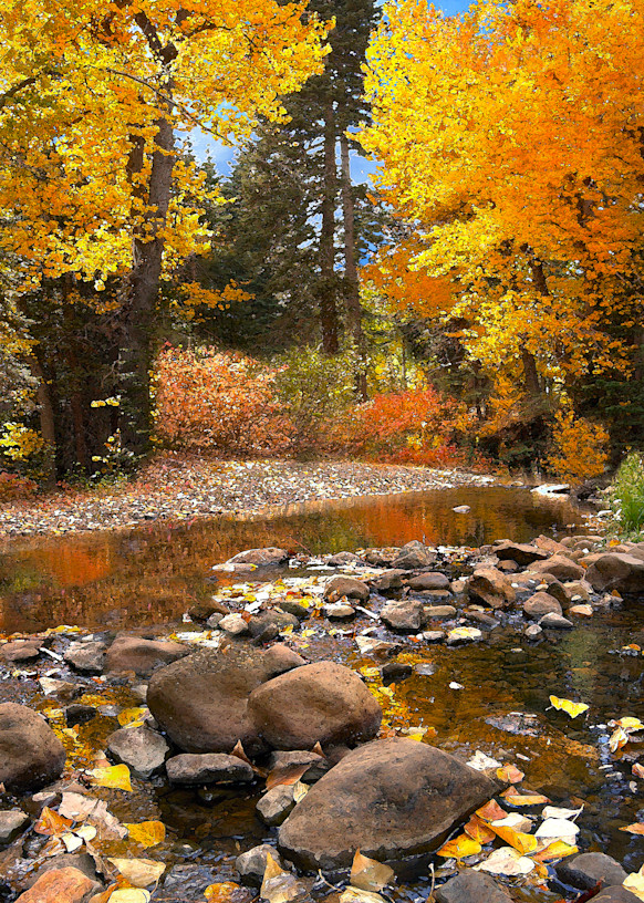 Blackwood Creek Autumn Art | The Carmel Gallery