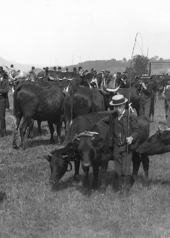 The New Milford Fair At Fort Hill