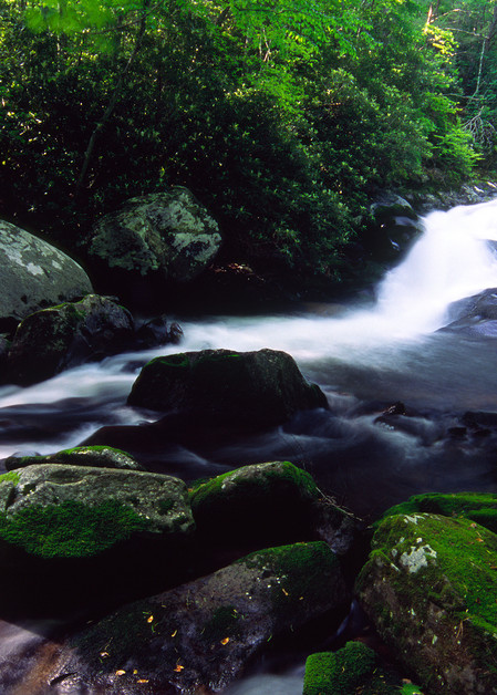 Lynn Camp Prong Falls