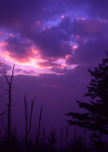 Twilight at Clingmans Dome