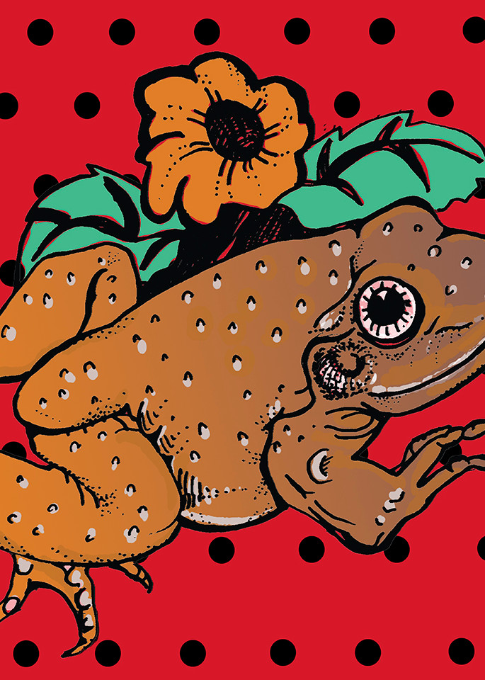 Polka Dot Frog Art | Fine Art New Mexico