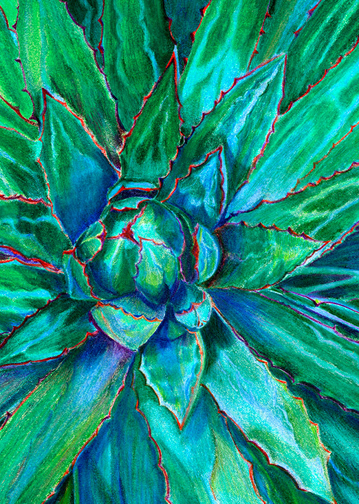 Agave Art | Fine Art New Mexico