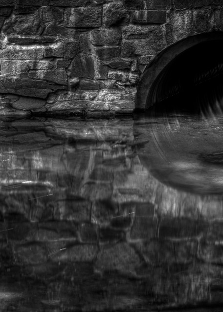A Fine Art Black And White Photograph of Rock Creek Reflections in Washington DC by Michael Pucciarelli