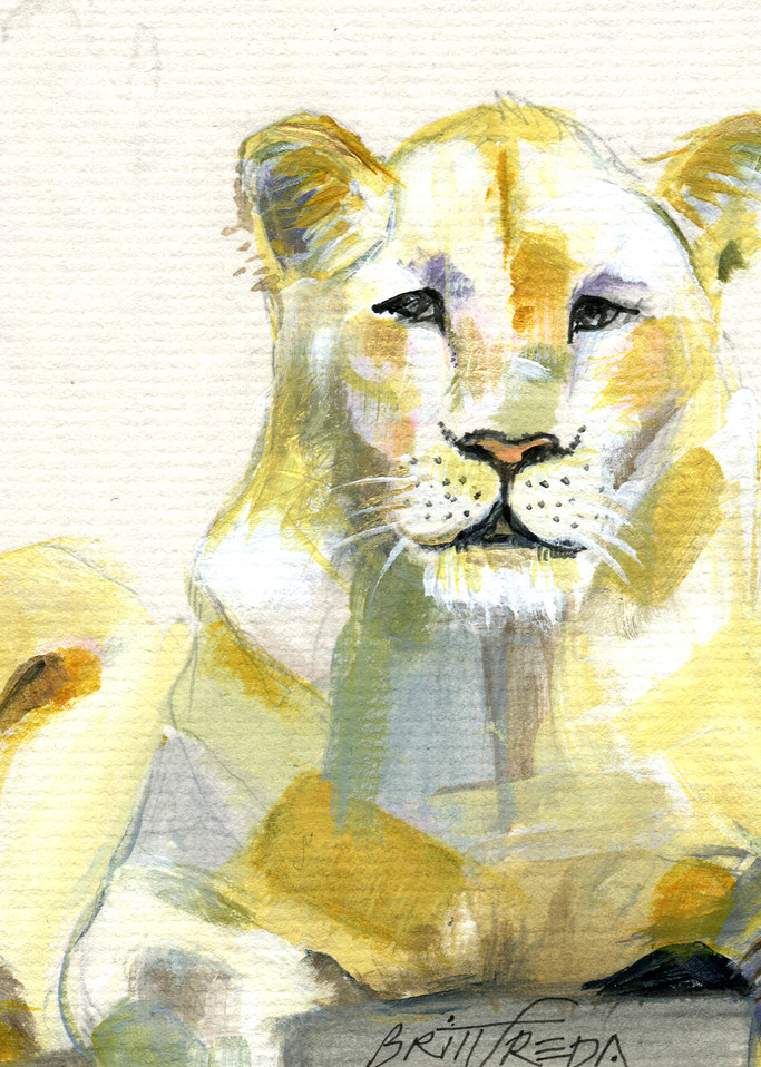 Lion detail