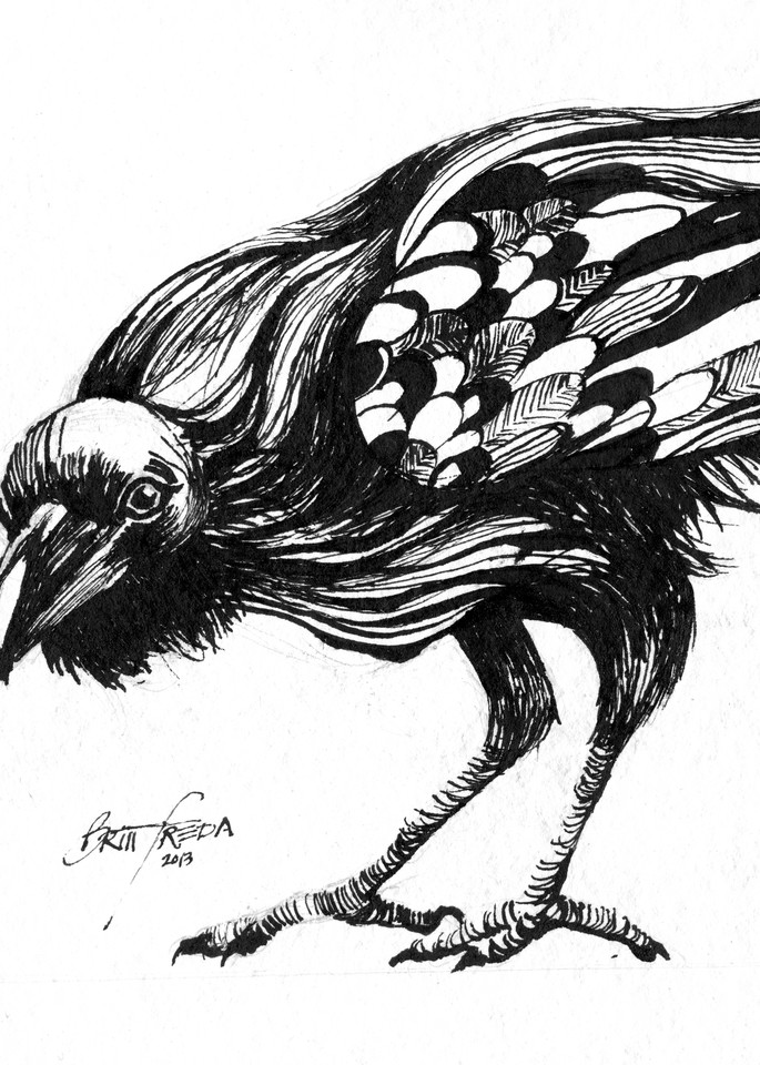 Inky Crow