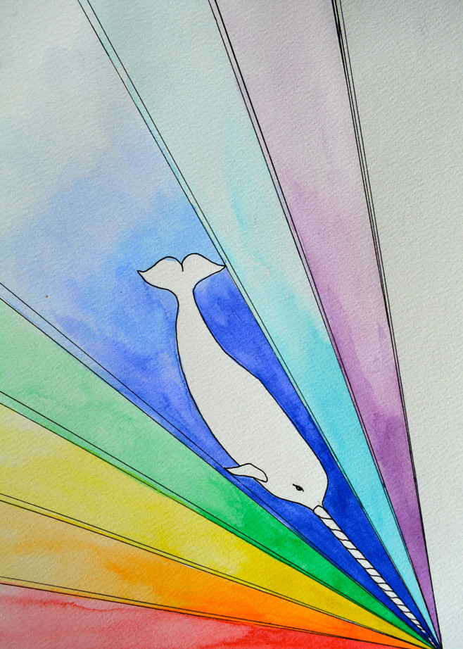 White Gnarwhal Diving Into A Rainbow Sea Art | Gnarwhal Designs