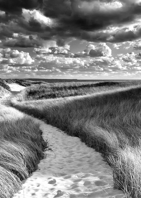 "Philbin Beach Path" Black and white Martha's Vineyard beach photograph