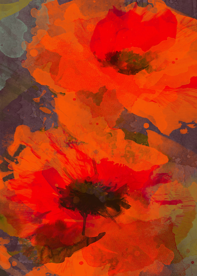 Symphony Of Poppies Art | Irena Orlov Art