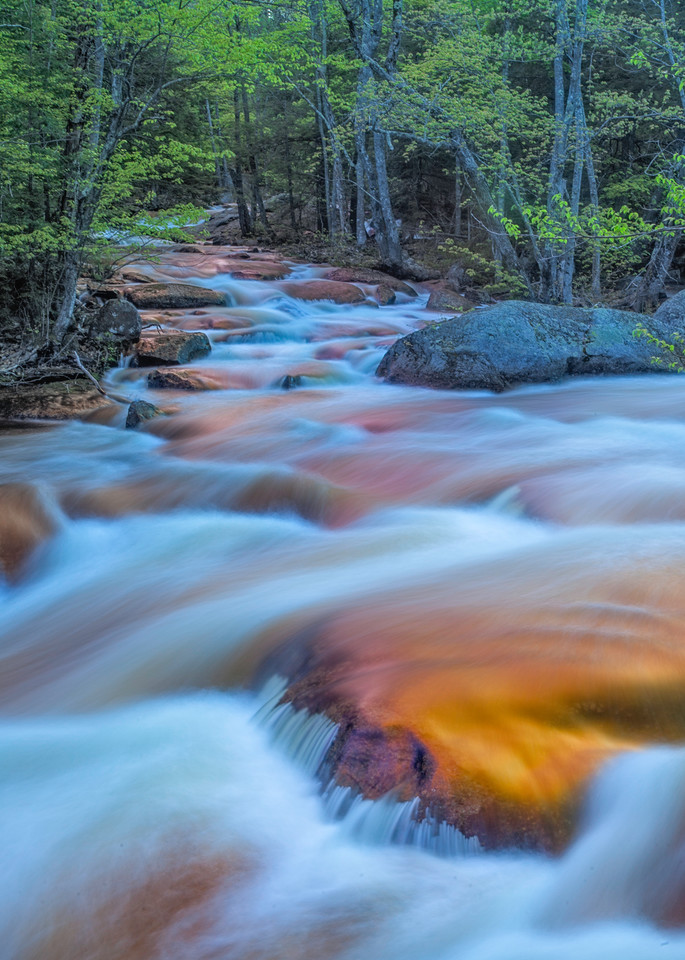 Rushing waters of the North Branch River