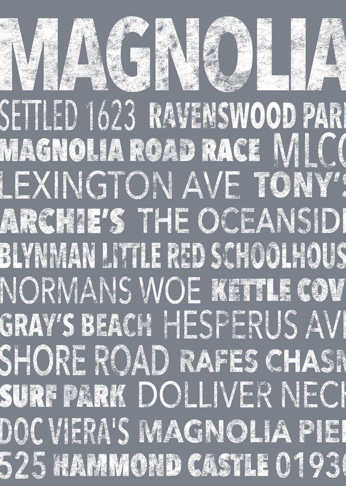 Hometown Graphics Magnolia Grey  Art | capeanngiclee