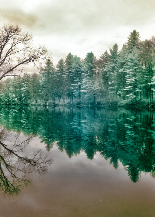 A green infrared Stumpfield Marsh image