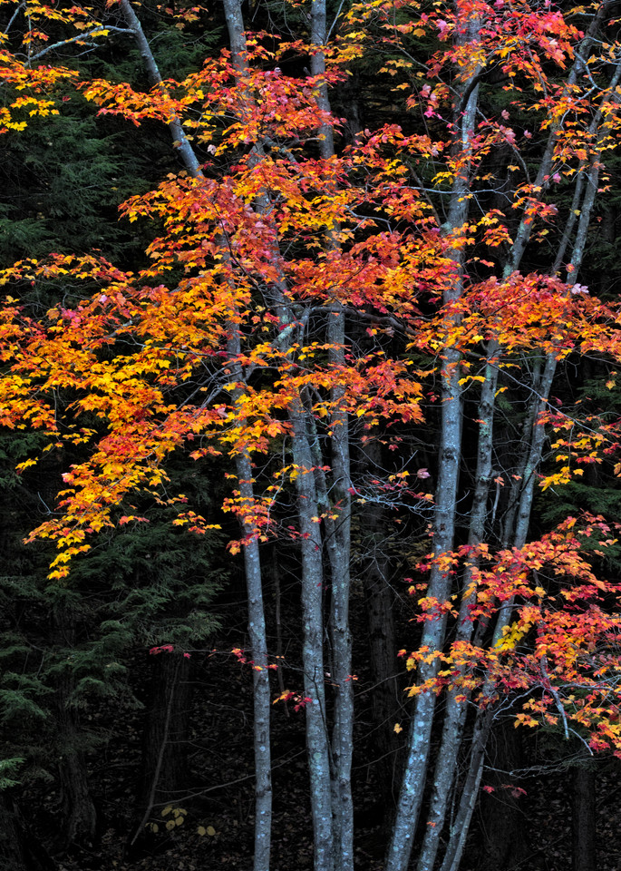 New Hampshire Autumn Foliage