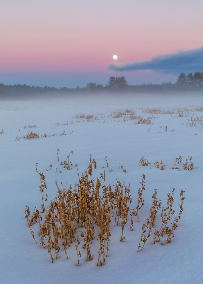 Snowy moonrise and winter field