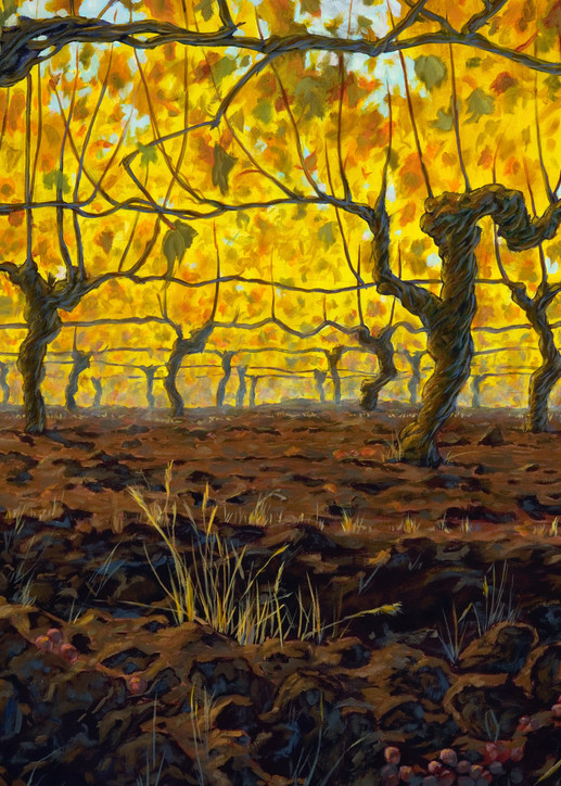 Golden Vines by Beaverton Landscape Artist Michael Orwick
