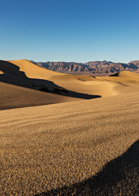 Mesquite Flat Sand Dunes Photograph for Sale as Fine Art