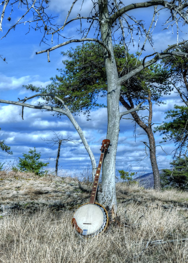 Appalachian Bluegrass Art | Instrumental Art