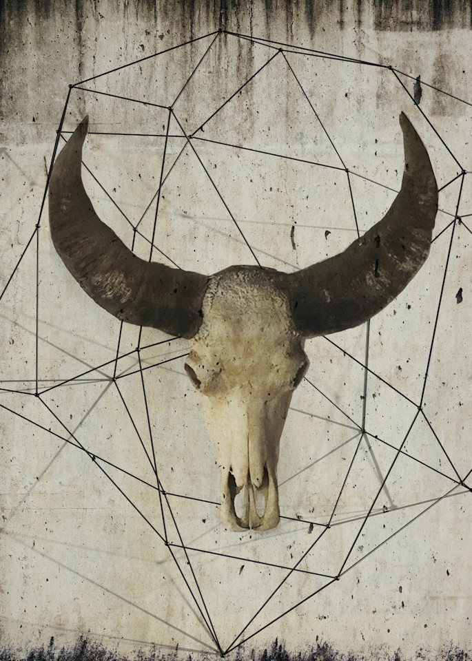 Orl 9981 1 Buffalo Skull Art | Irena Orlov Art