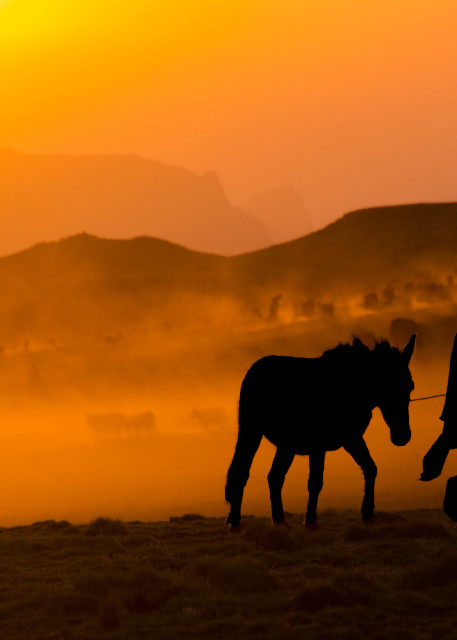 Sillhouetted man and horse at sunset in the Simien Mountains, Ethiopia