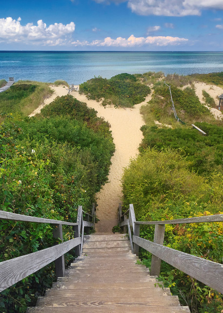 "Steps Beach" - Fine Art Large Nantucket Coastal Dunes Photograph