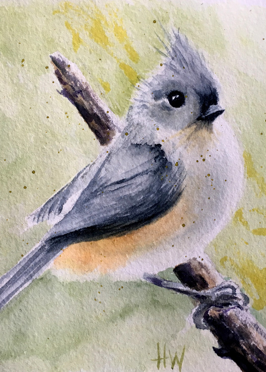 Titmouse Art | Holly Whiting Art