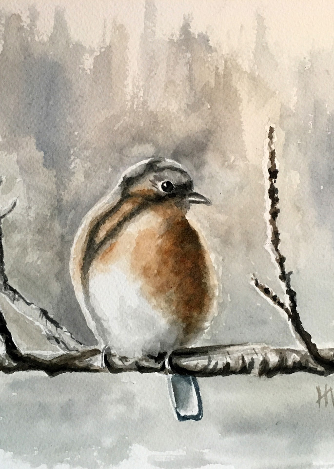 Baby Blue, watercolor painting of young blue bird by Holly Whiting