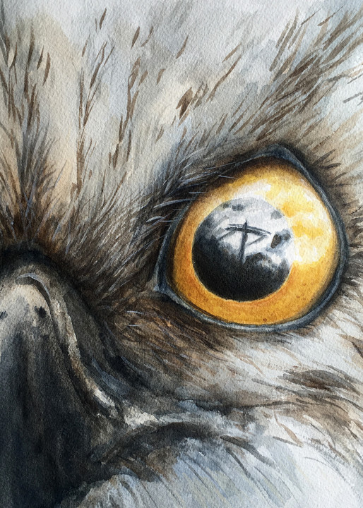 Painting of osprey eyes, face, eye reflection