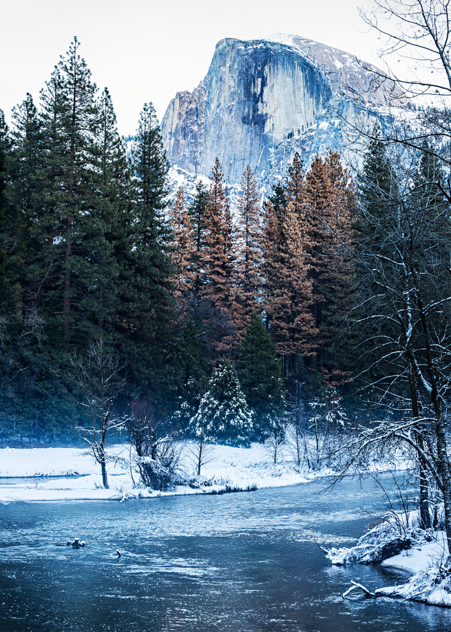 Half Dome and Merced River From Sentinel Bridge Photograph For Sale As Fine Art