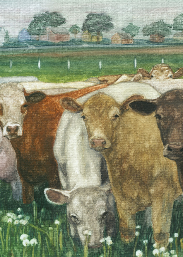 Cow Not Interested Art | Blissful Bonita Art Studio & Gallery