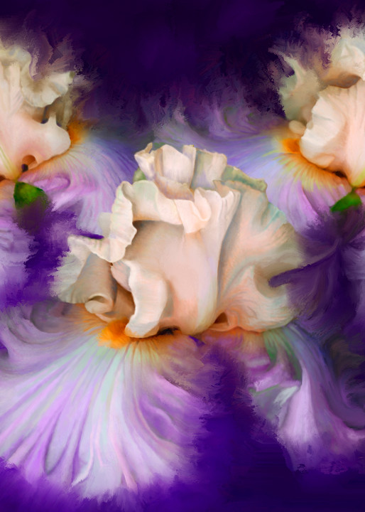 Dancing Iris Trio, wall art. A print of an original painting by the artist, Mary Ahern.