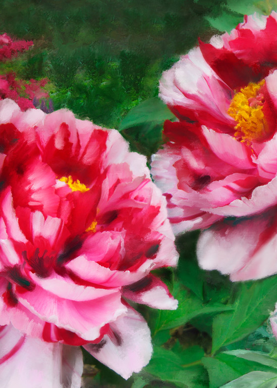 Fire Flame Peonies, wall art. A print of an original painting by the artist, Mary Ahern.