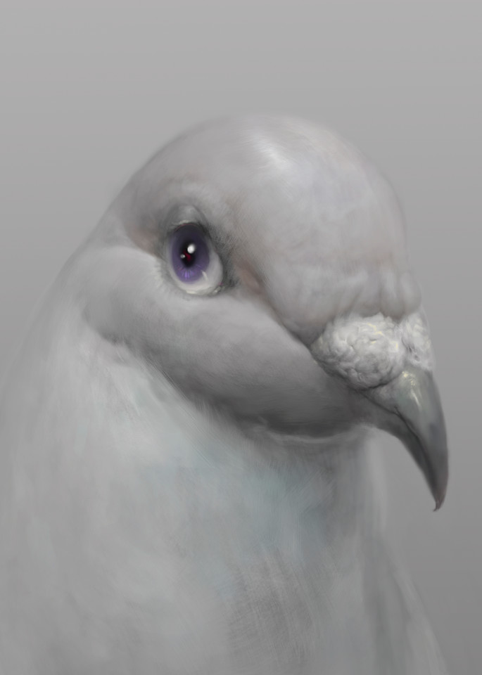 Burton Gray’s “PETER,” painting of a simple gray pigeon.
