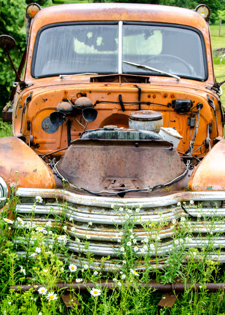 Rustinc old orange truck in green field with flowers