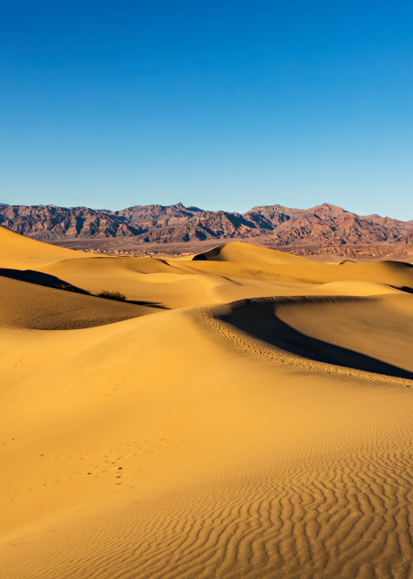 Golden Sand Dunes In Death Valley Photograph For Sale As Fine Art