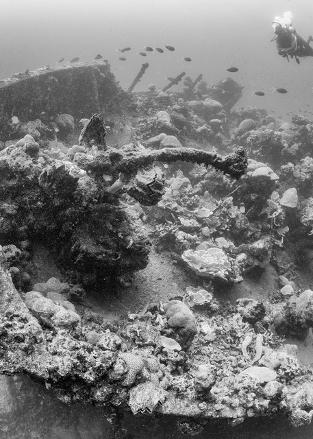 Kashi Maru Shipwreck Bow, Solomon Islands